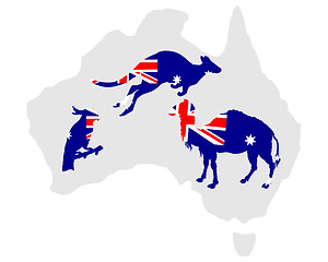 Image showing Australian animals