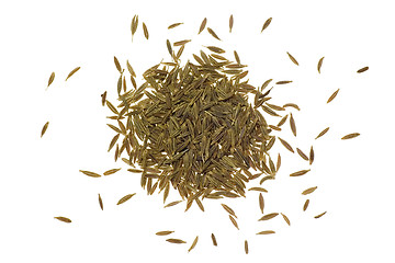 Image showing Pile of cumin seeds

