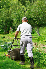 Image showing Gardening