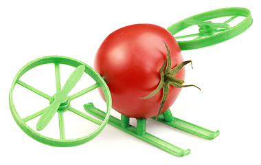 Image showing Tomato Hovercraft