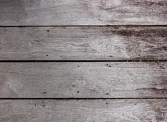 Image showing Wood Background