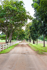 Image showing Country Road