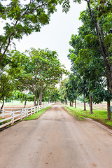 Image showing Country Road