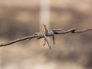 Image showing barbed wires 