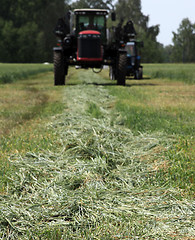 Image showing combine harvester on a wheat field with a blue sky