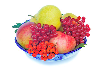 Image showing Apples, pears, berries and Rowan in a vase on a white background