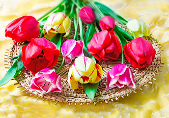 Image showing Bright red tulip against yellow silk