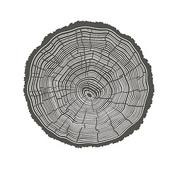 Image showing Tree Rings Illustration. Template for annual reports