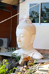 Image showing buddha statue