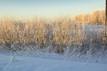 Image showing winter Landscape.