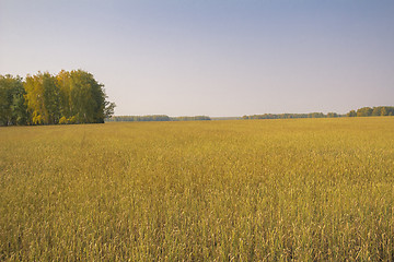 Image showing autumn sketches.