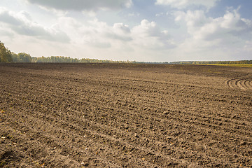 Image showing autumn sketches.