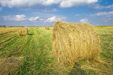 Image showing autumn sketches.