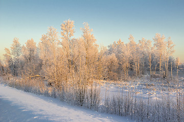 Image showing winter Landscape.