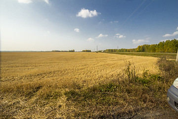 Image showing autumn sketches.