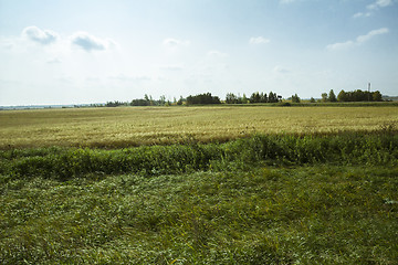 Image showing autumn sketches.