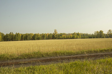 Image showing autumn sketches.