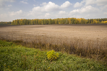 Image showing autumn sketches.