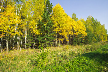 Image showing autumn sketches.