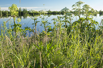 Image showing Landscape.