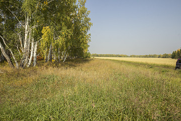 Image showing autumn sketches.