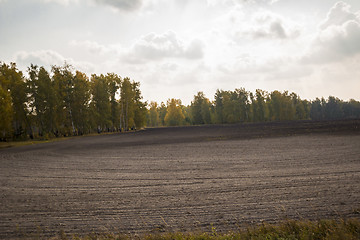 Image showing autumn sketches.