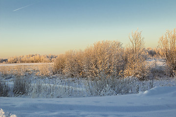 Image showing winter Landscape.