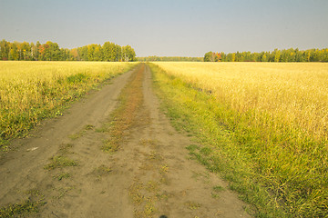 Image showing autumn sketches.