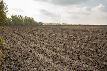 Image showing autumn sketches.