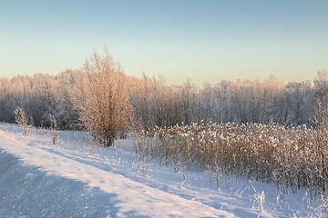 Image showing winter Landscape.