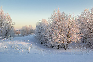 Image showing winter Landscape.