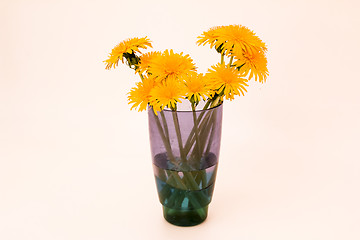 Image showing         Yellow flowers