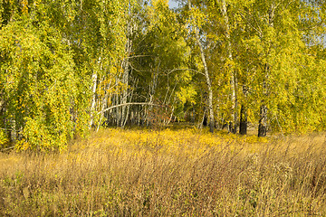 Image showing autumn sketches.