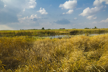 Image showing autumn sketches.