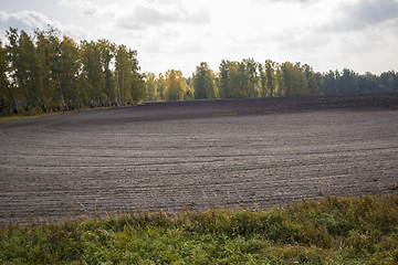 Image showing autumn sketches.