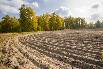 Image showing autumn sketches.