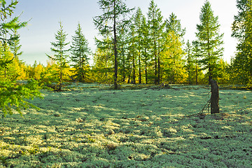 Image showing   Landscapes of the Far North