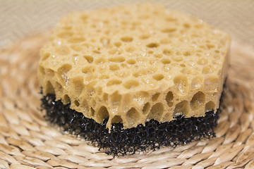 Image showing   sponge