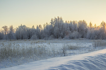 Image showing winter Landscape.