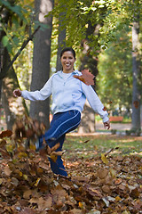 Image showing Autumn fall