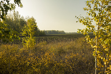 Image showing autumn sketches.