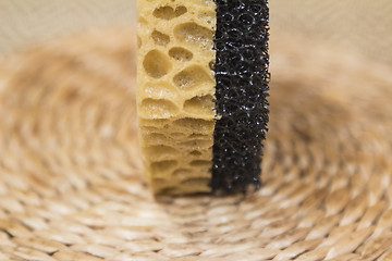 Image showing   sponge