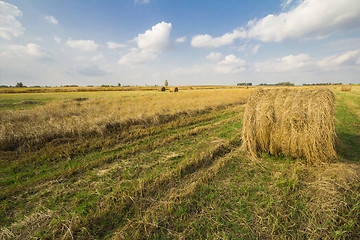 Image showing autumn sketches.