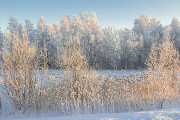 Image showing winter Landscape.