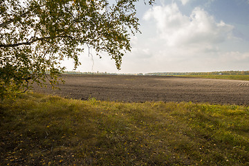 Image showing autumn sketches.