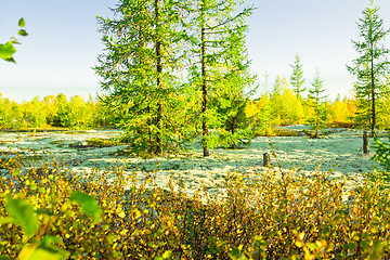 Image showing   Landscapes of the Far North