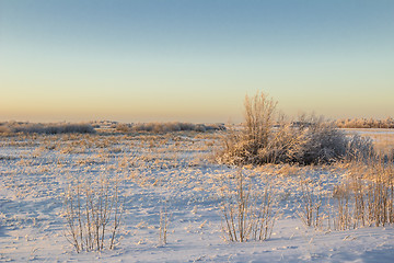 Image showing winter Landscape.