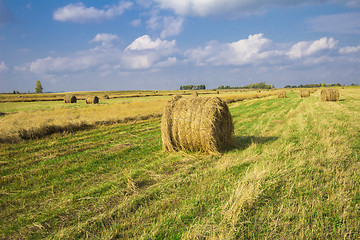 Image showing autumn sketches.