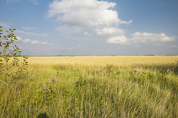 Image showing autumn sketches.