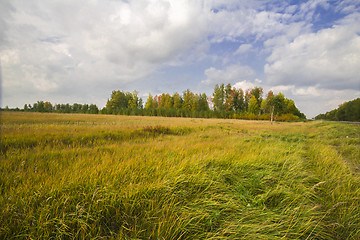 Image showing autumn sketches.